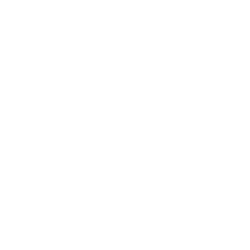 Blooming Peony